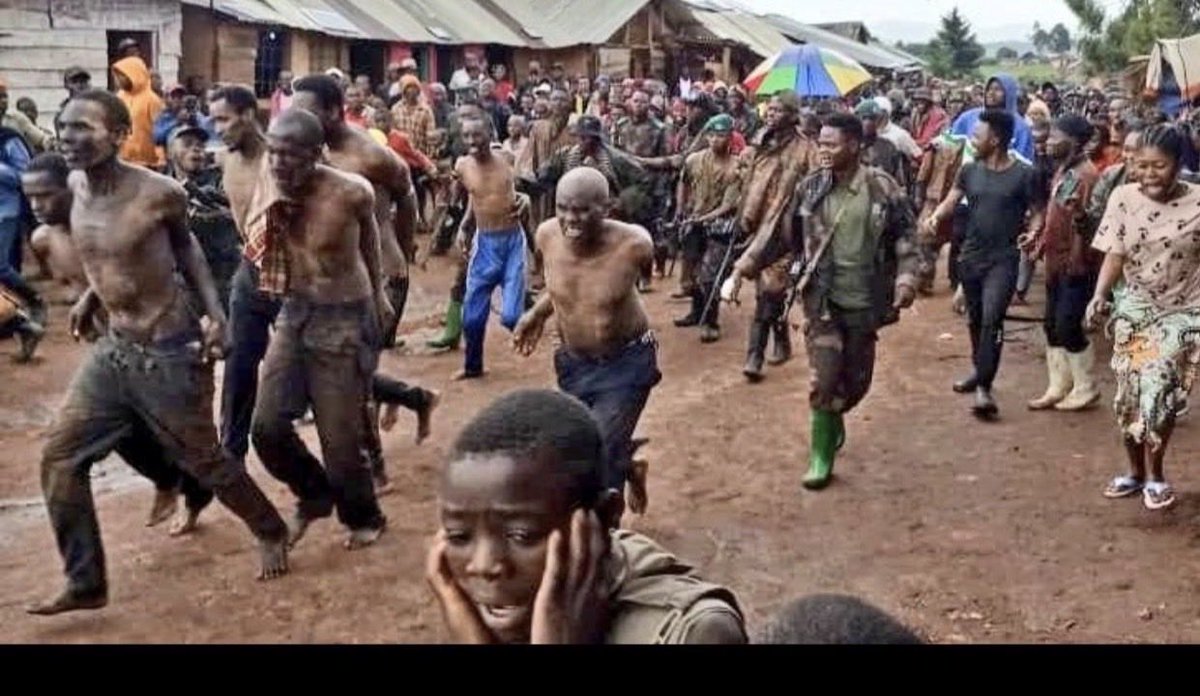 #SaveBanyaMulenge🇨🇩⭕️ tweet media