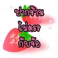 kn tweet media