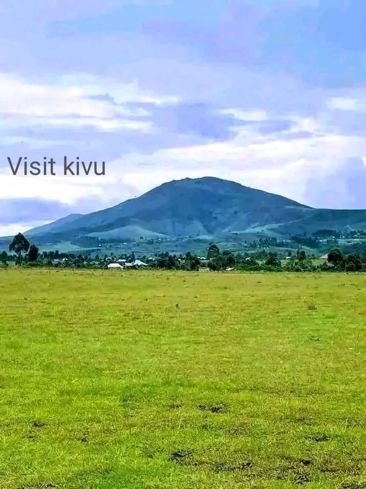 VISIT KIVU tweet media