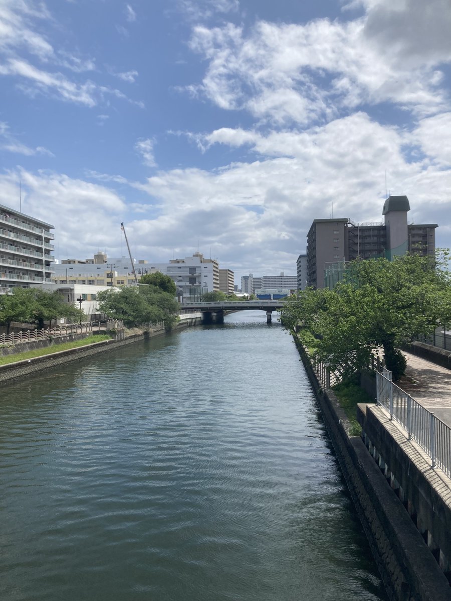 匠クマ tweet media