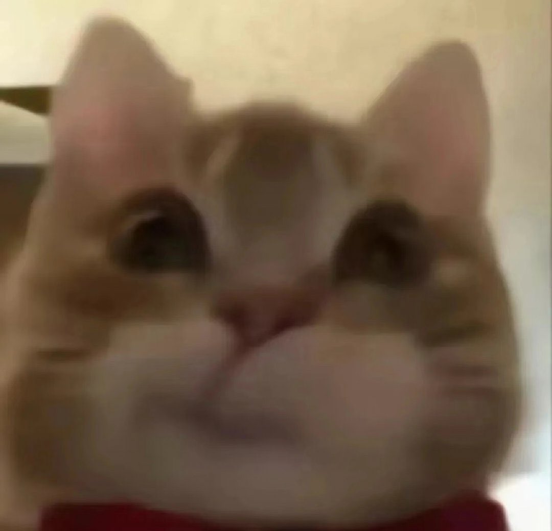 까막별 tweet media