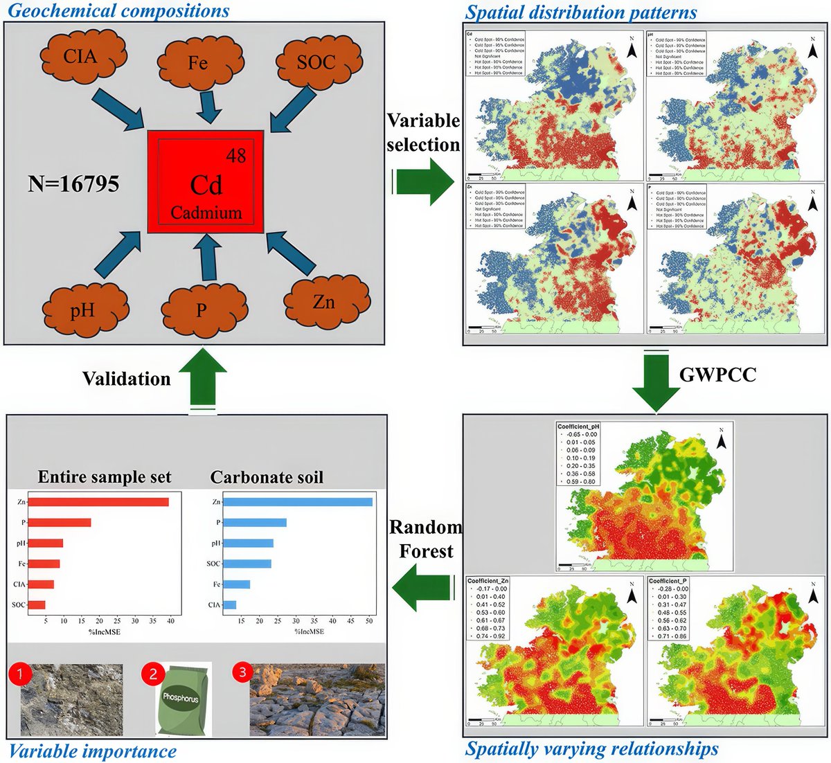 gp_pulipaka's tweet image. Investigation of Spatially Varying Relationship Between Cadmium Accumulation and Potential Controlling factors in the Topsoil of Island of Ireland Based on Spatial Machine Learning Approach! #BigData #Analytics #DataScience #AI #MachineLearning #IoT #IIoT #PyTorch #Python #RStats
