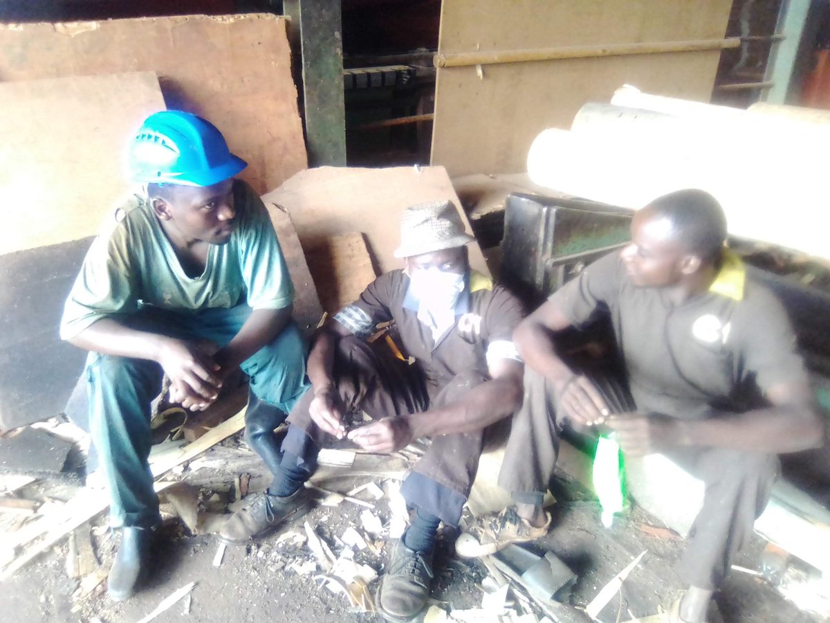 PraiseKwats's tweet photo. 2020 in jinja as a casual labourer working for a  timber processing company earning 6600 per day, on a 12 hour shift. Poor feeding, no safety precautions, rudeness of supervisors, hectic work out of proportion with our energy and strength. The job was not only dangerous to my physical body but also psychologically. I lost 6 kgs in one month. That's when I knew fatigue could be carried to another day, unworthy people having authority over me, my health started deteriorating and by the third month, after the ban in vehicles was lifted in lockdown, I resigned and went back home. 
There are men I found there who would tell me they had been working there for 8 years. 
I went back and checked in the company in 2023 when I was in year 2 of college when we had gone to jinja for some competitions but I was denied entry.