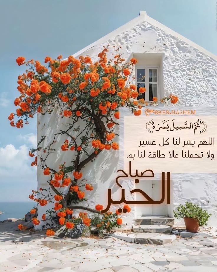 ابو اشرف بن سالم المسعودي⚘ tweet media