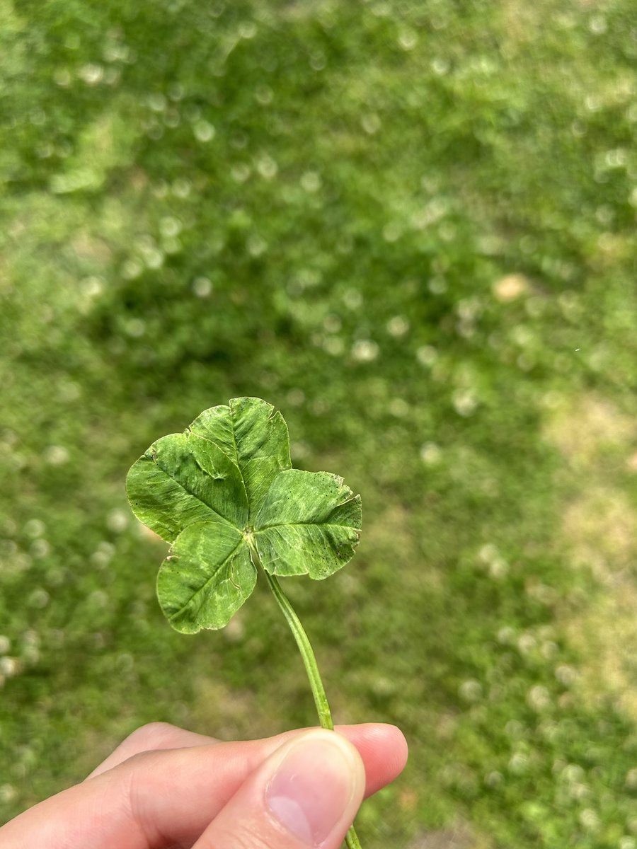 ゆうか🍀 tweet media