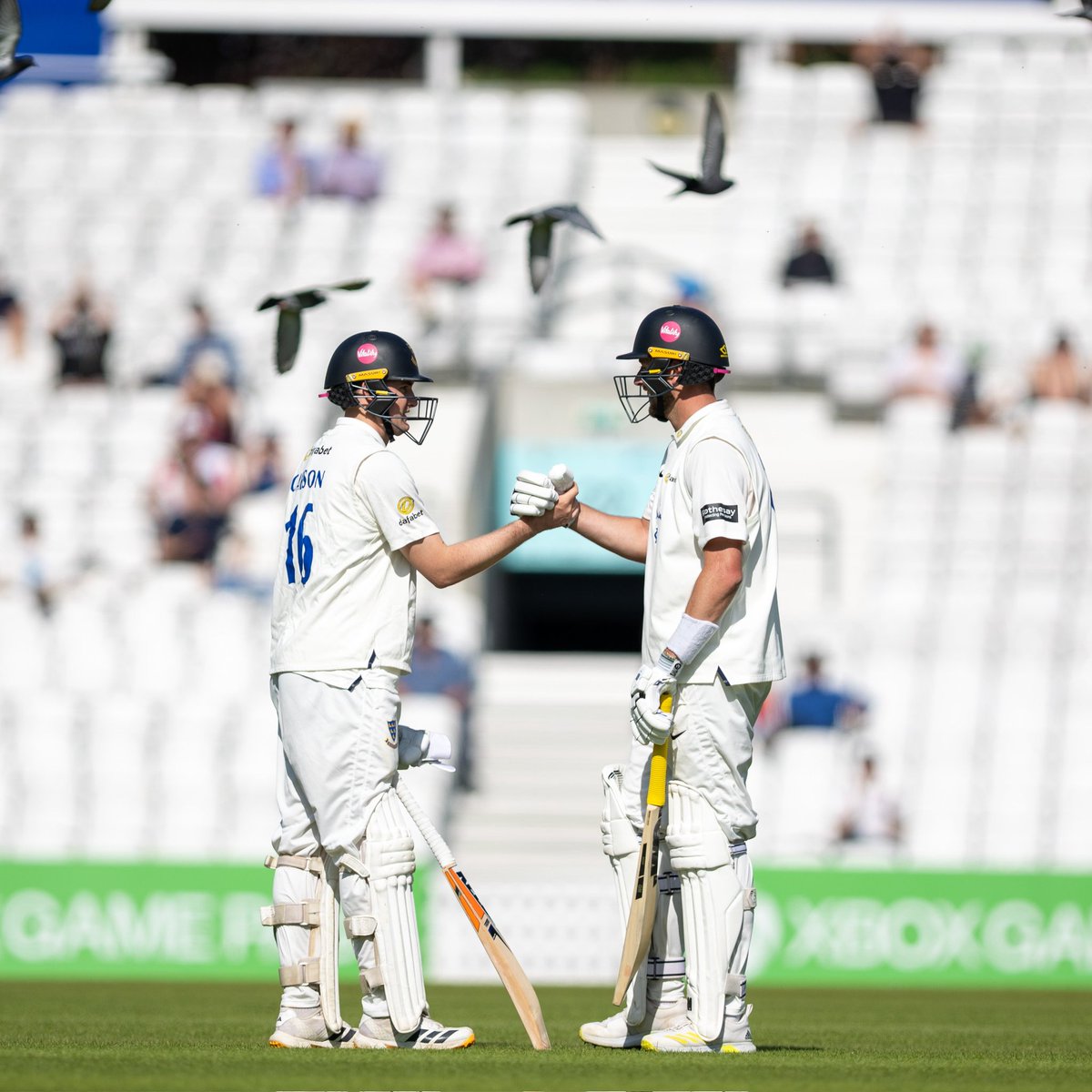 LordRic52's tweet image. "a slide into irrelevance" ??!!

I know we had a "Winter of Woe" £p at Hove

But like Jack &amp;amp; Ollie ... 

I'm never giving up on the Mighty @SussexCCC

#gosbts 🐬🐬🐬
#Potential

@callummay
@huwzat 
@WillHugall 
@stevebone1 
@HoveAway_ 
@AndyWinterBN1 
@HughNTJohnson 
@fh_stephen