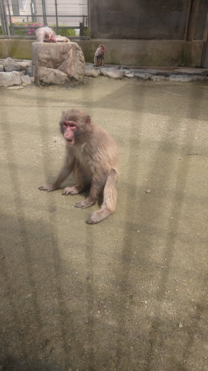 うたやん🦭AIM tweet media