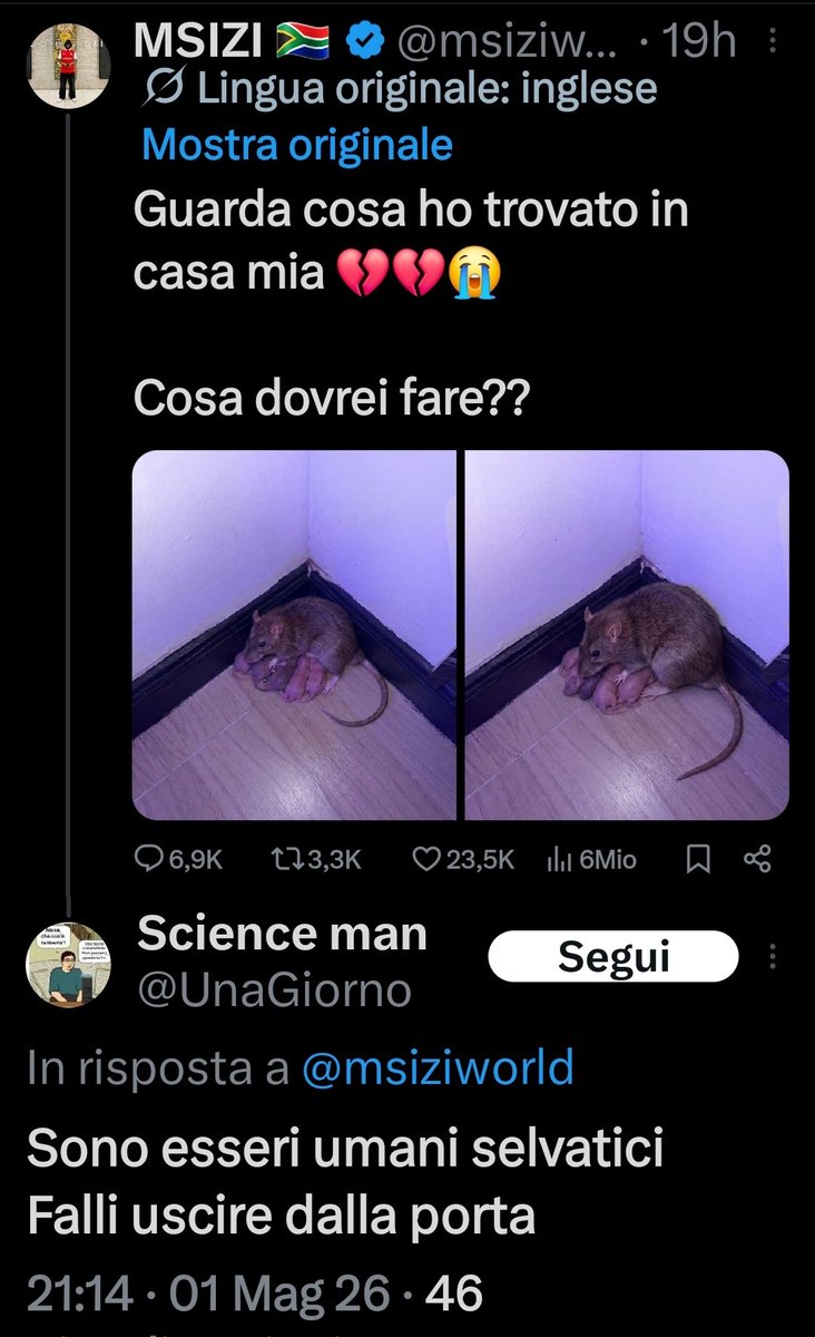 The Magician tweet media