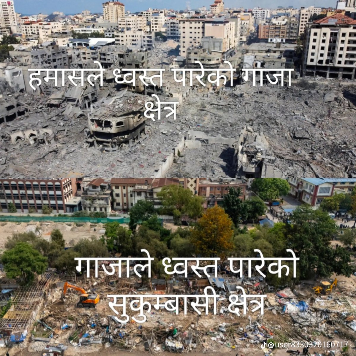 तारा✨गौतम tweet media