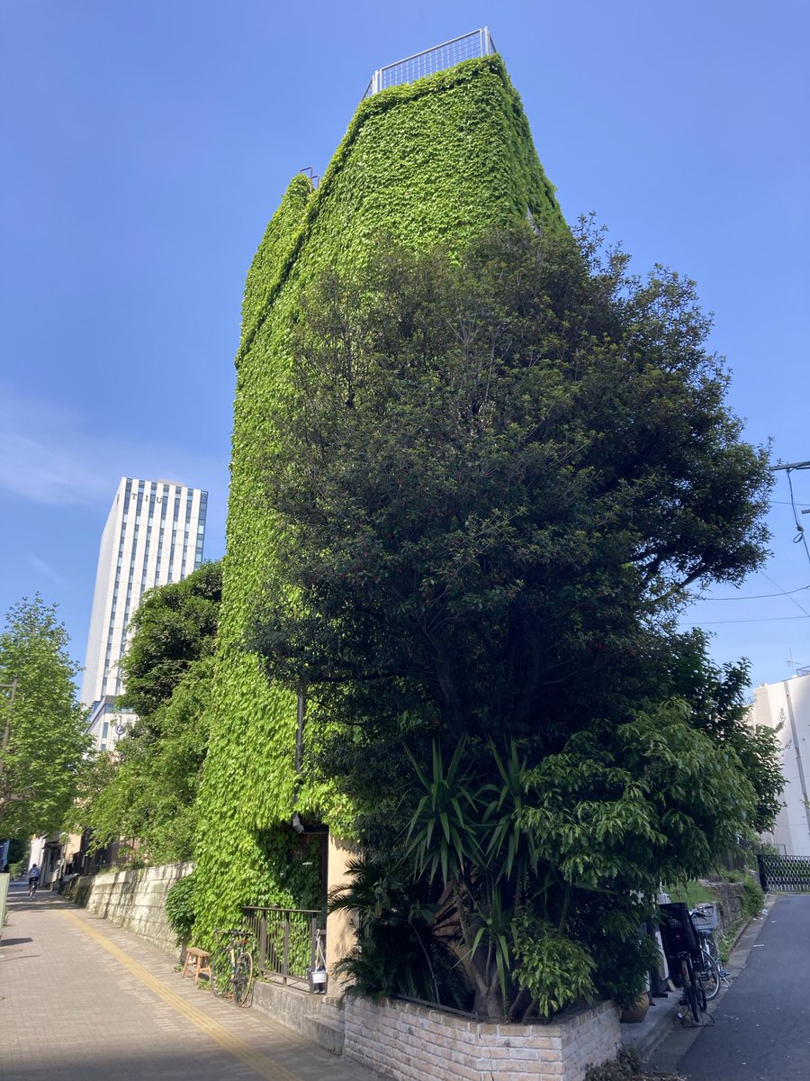 kiyooshi's tweet photo. 今日5/2(土)MUSIC FROM THE MARSはここ池袋KAKULULUにてライブです！みんな来てねー https://t.co/gGlMxUD7ox
