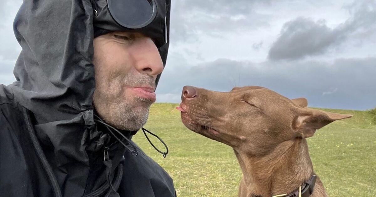 CJBolding's tweet image. Trust and Kindness matters

Liam Gallagher and Buttons

#LiamGallagher