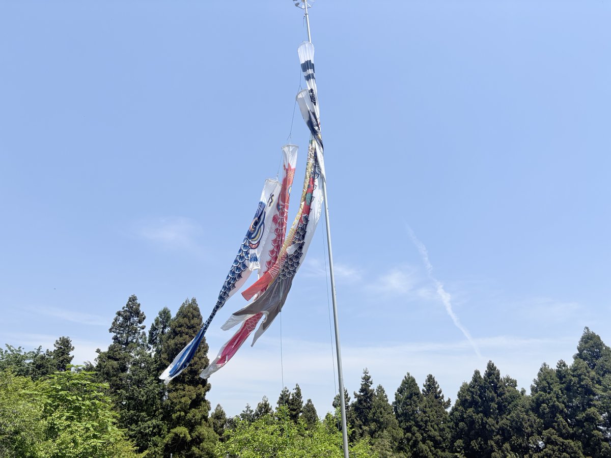 funfunlion's tweet photo. 今日は良い天気になってよかったですね。大きな鯉のぼり見つけました。自分にまだ孫はいませんが…… https://t.co/U2xPEY3amm