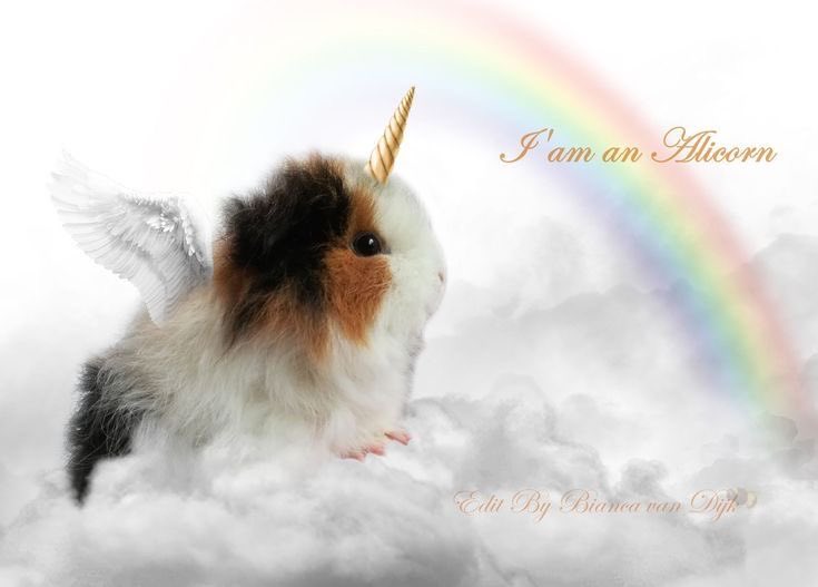 ꒰ྀི∗ɞ̴̶̷ ·̮ ɞ̴̶̷∗꒱ tweet media