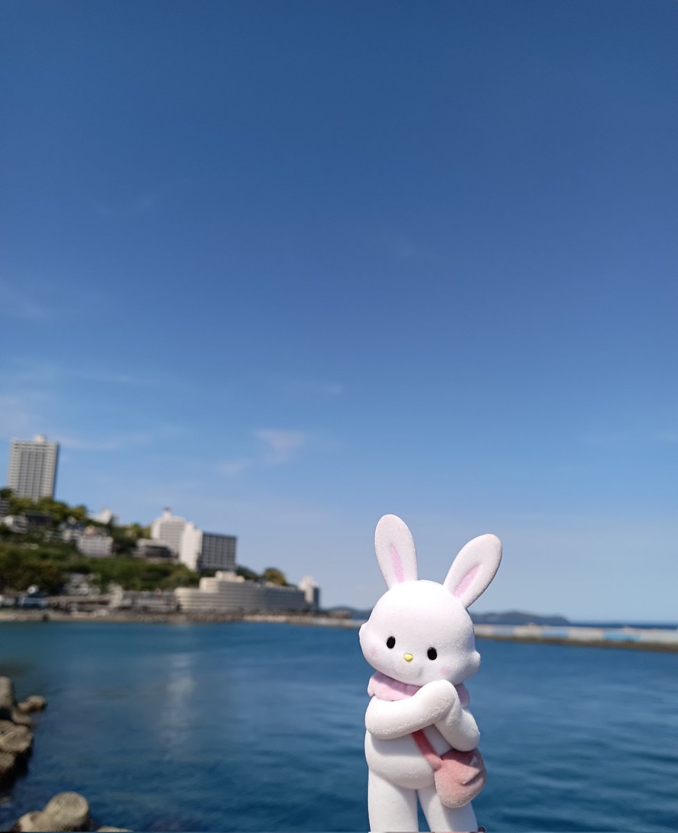 ぽちめる🐰💌 tweet media