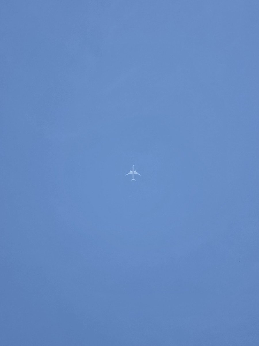 moon_bin0223's tweet photo. だいぶ高いけど晴れてるからうっすら見えてクリオネみたい✈️ https://t.co/cxUfHfV2HJ