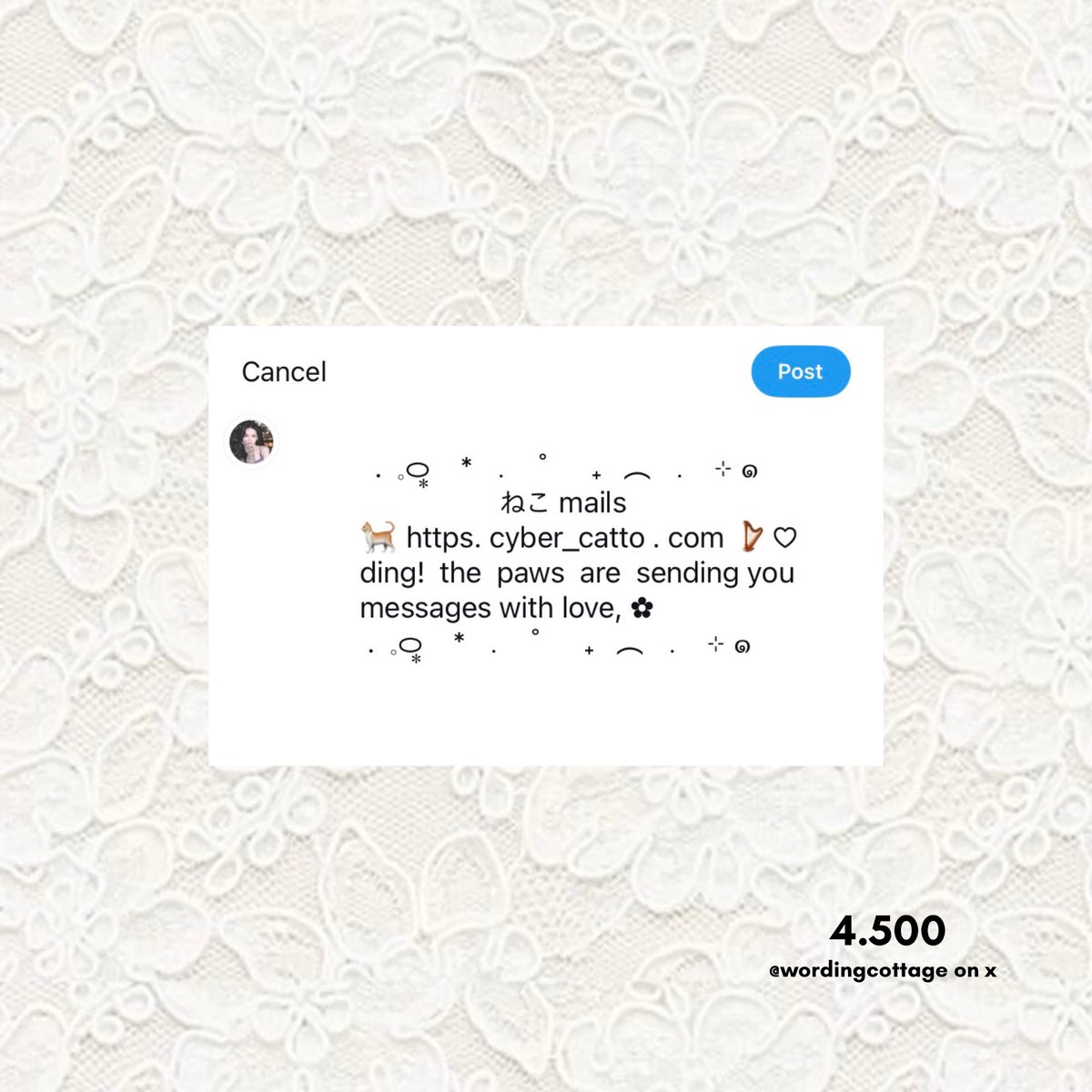 دهليا tweet media