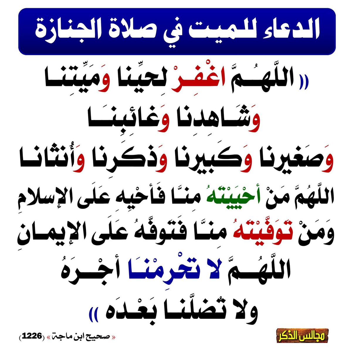 GrinatAdel's tweet photo. https://t.co/nGjG7kjGjt
