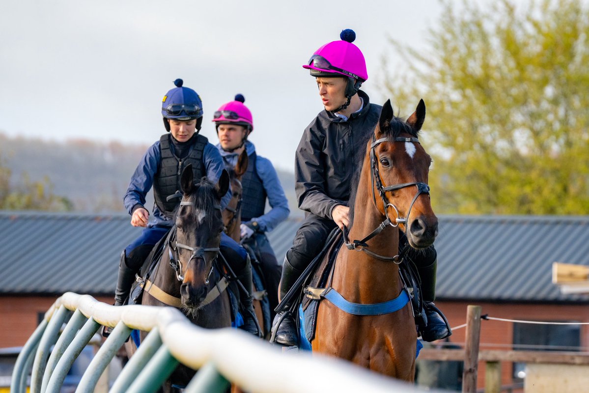 Fergal O'Brien Racing tweet media