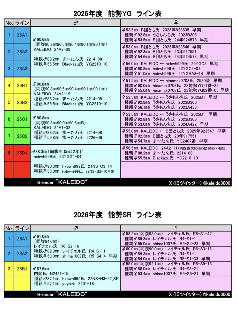 KALEIDO tweet media