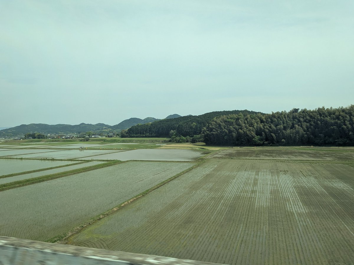 田んぼページ 2026.5.5