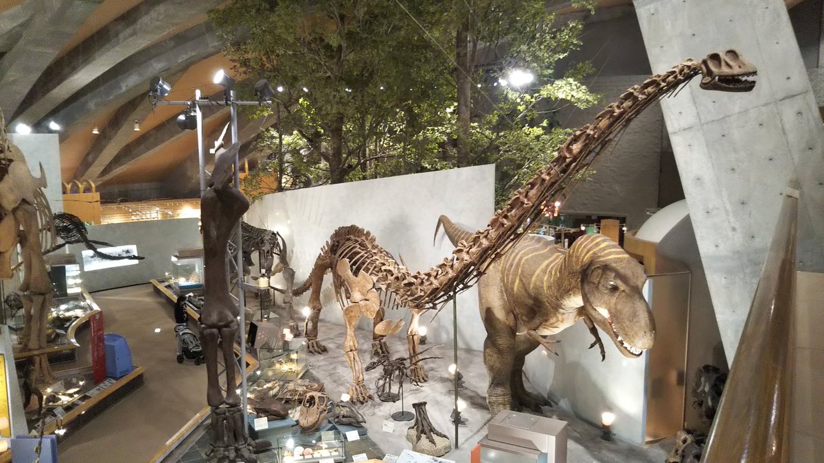 #群馬県立自然史博物館 初めて伺ったのですか...ここ最高ですね‼️🦖🦕🦛