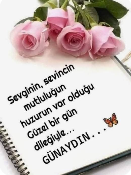 Gül Haluk tweet media
