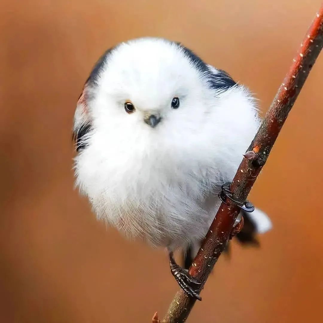 Alá💫 tweet media