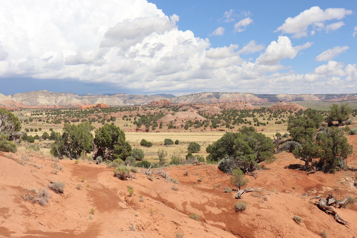 manuelacasasoli's tweet image. From my hikes...

Rugged beauty.

Kodachrome Basin State Park
Utah - 2023

Have a good day!

#hiking #adventures #nature #NatureLovers