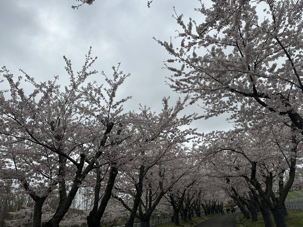 peach_buttocks's tweet photo. あいにくの曇天。 https://t.co/8OgwLMFlAy