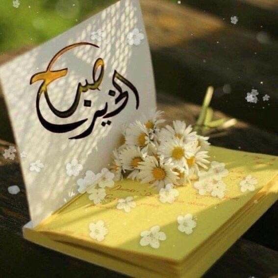 💕عبير 🥀 tweet media