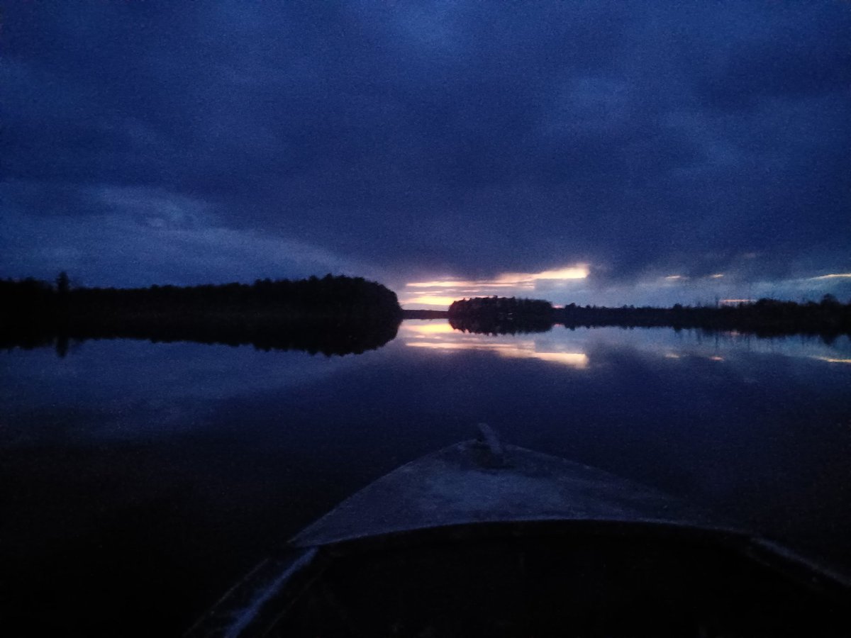 NikitaGutt's tweet image. nature.wav
#sound #flstudio #ableton