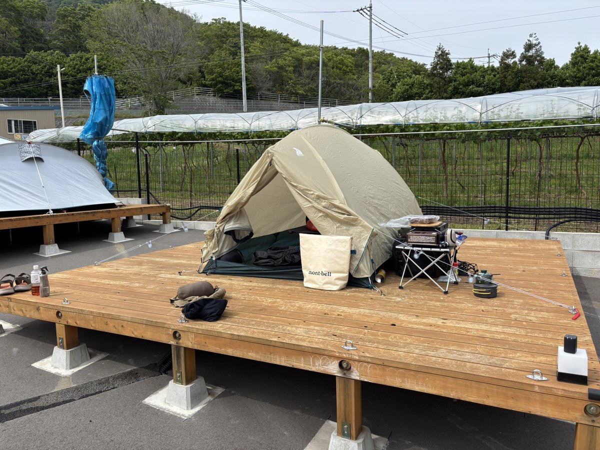 あなっぷメン tweet media
