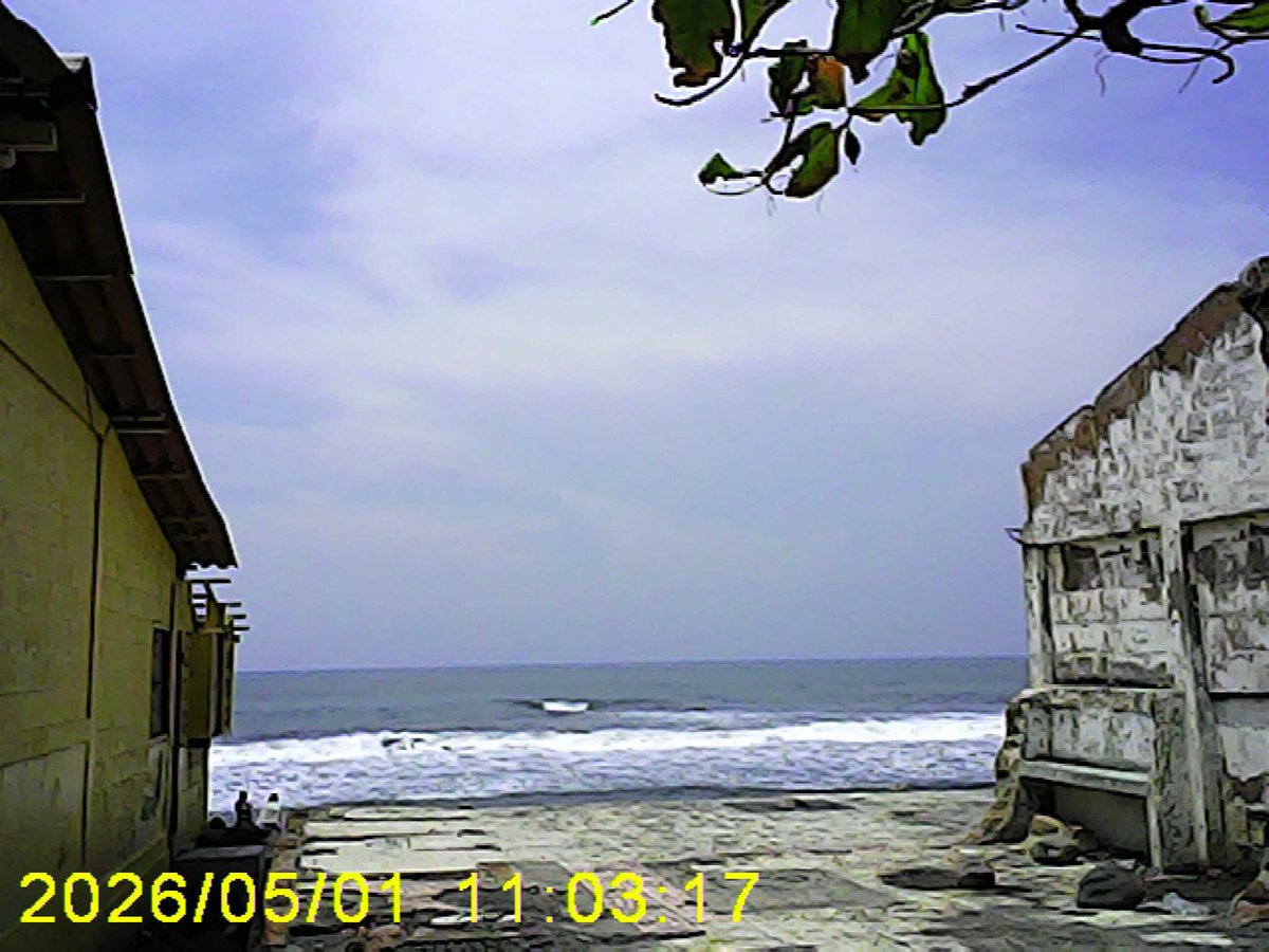 ꜱᴏɴɢɢʏ ! ENHYPEN IS 7 .⋆♱⃓ tweet media