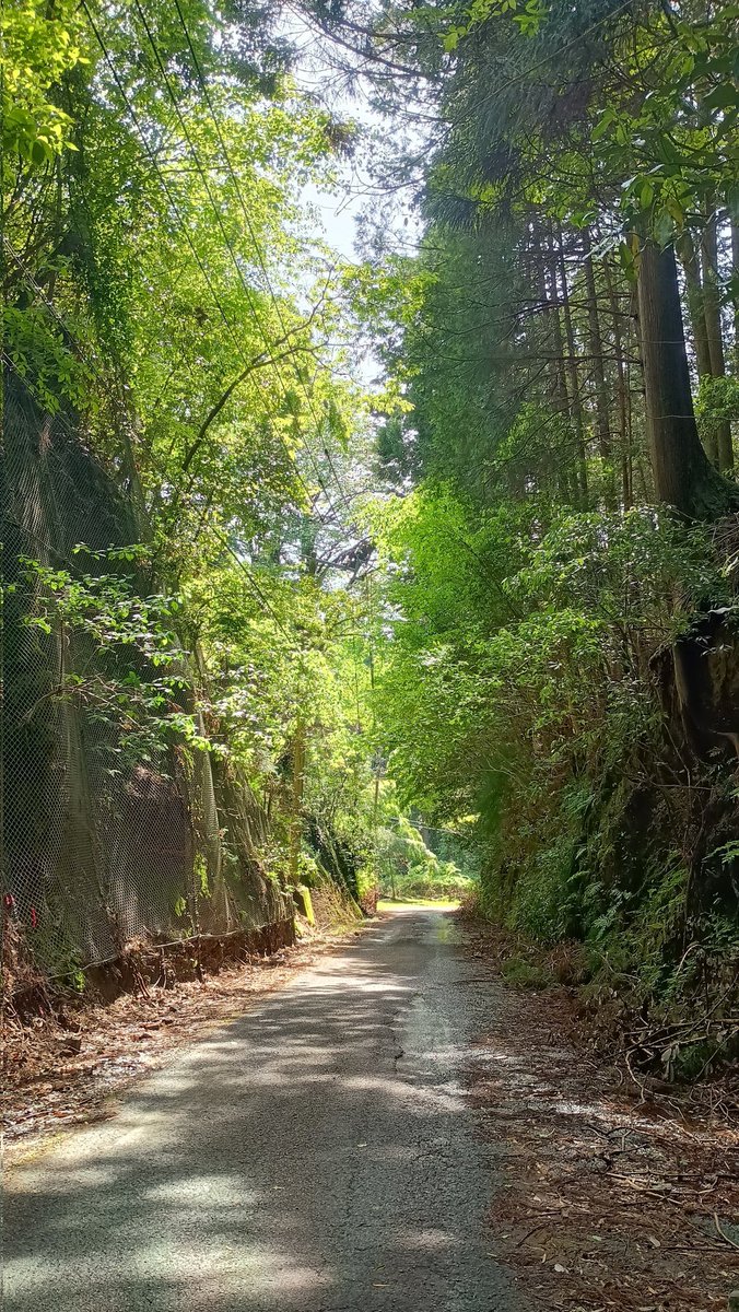 itmofnw's tweet image. 峠の雰囲気は満点だけど、強度的にはマイルドな #見坂峠
#ride #美濃