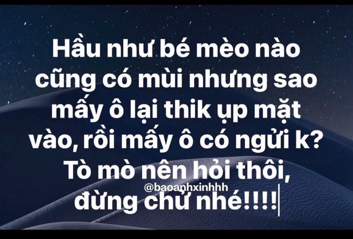Hằng Nguyễn tweet media