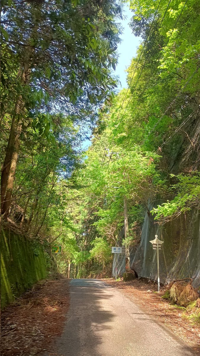 itmofnw's tweet image. 峠の雰囲気は満点だけど、強度的にはマイルドな #見坂峠
#ride #美濃