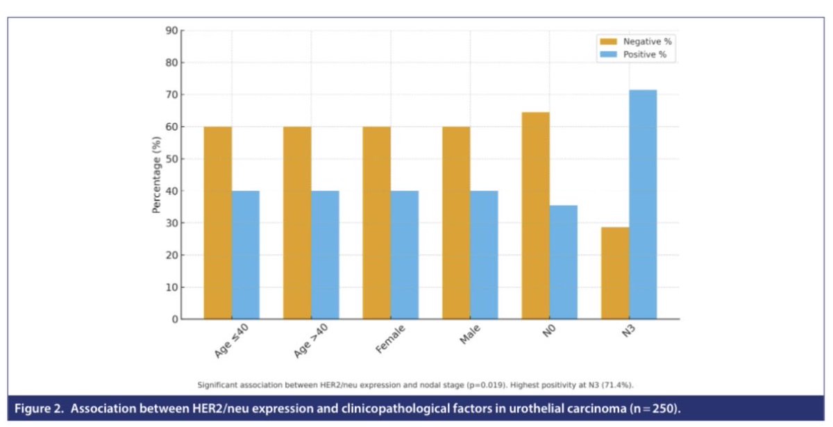 TurkJUrol's tweet image. Targeting Human Epidermal Growth Factor Receptor 2 in Bladder Cancer: Evaluating Its Role as a More Robust Clinicopathological Biomarker Compared to Programmed Death Ligand 1 Expression

Ankur Mittal et al.

#Biomarkers #targetedtherapy #bladdercancer  
👇
urologyresearchandpractice.org/index.php/pub/…