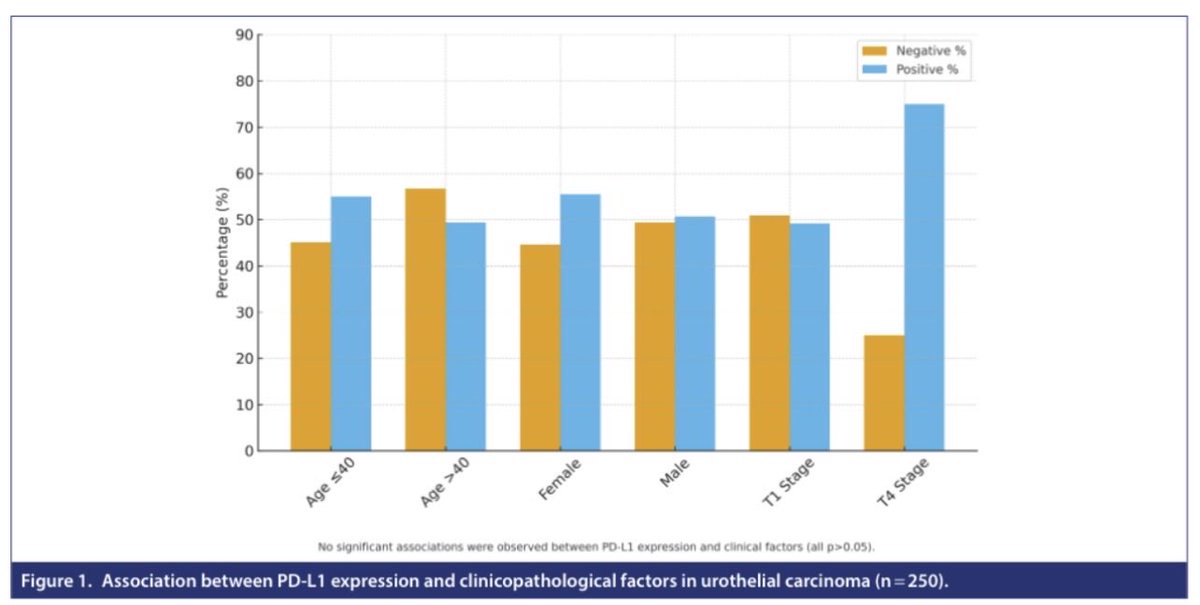 TurkJUrol's tweet image. Targeting Human Epidermal Growth Factor Receptor 2 in Bladder Cancer: Evaluating Its Role as a More Robust Clinicopathological Biomarker Compared to Programmed Death Ligand 1 Expression

Ankur Mittal et al.

#Biomarkers #targetedtherapy #bladdercancer  
👇
urologyresearchandpractice.org/index.php/pub/…