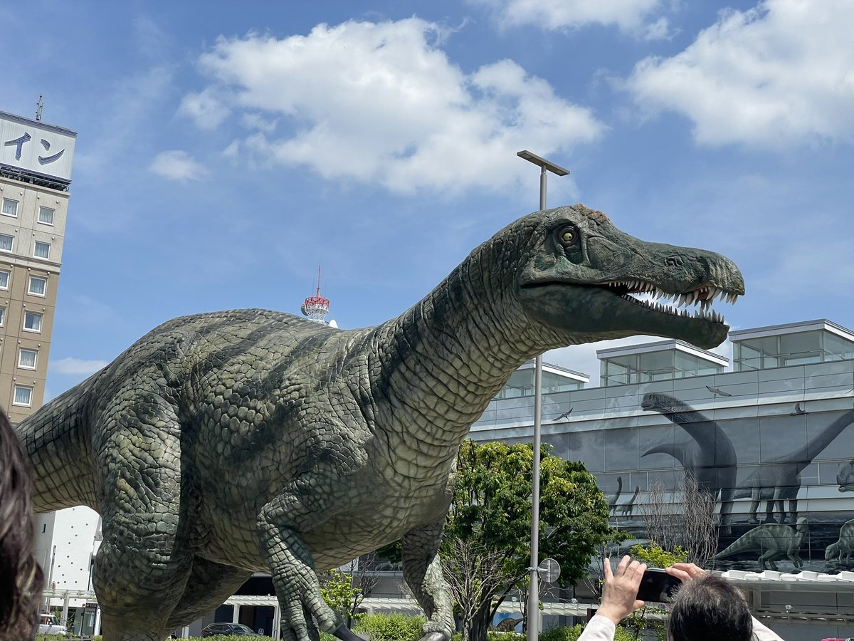 ranlove0616's tweet photo. 福井県！
恐竜迫力ありすぎて🦖

お邪魔しました🤗 https://t.co/NFDvWFLyy9
