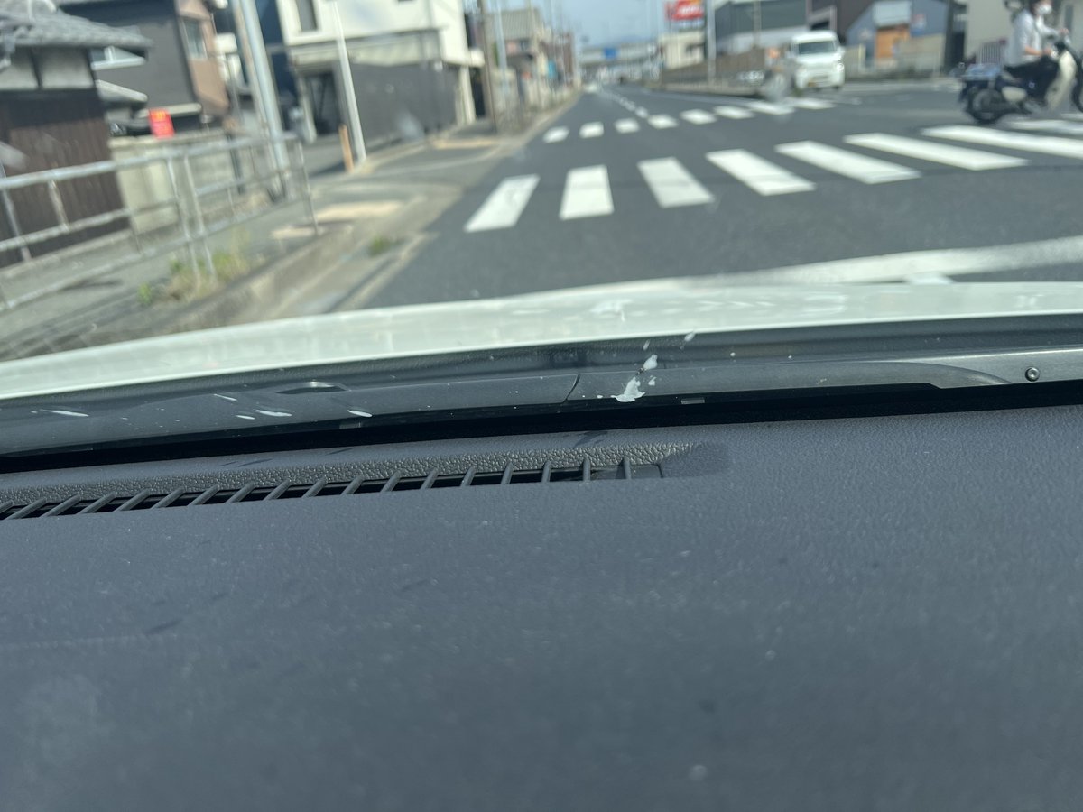 りの (thow) tweet media
