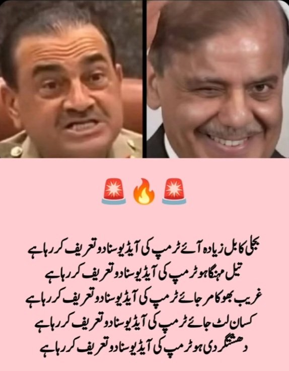 MJ Akhtar tweet media