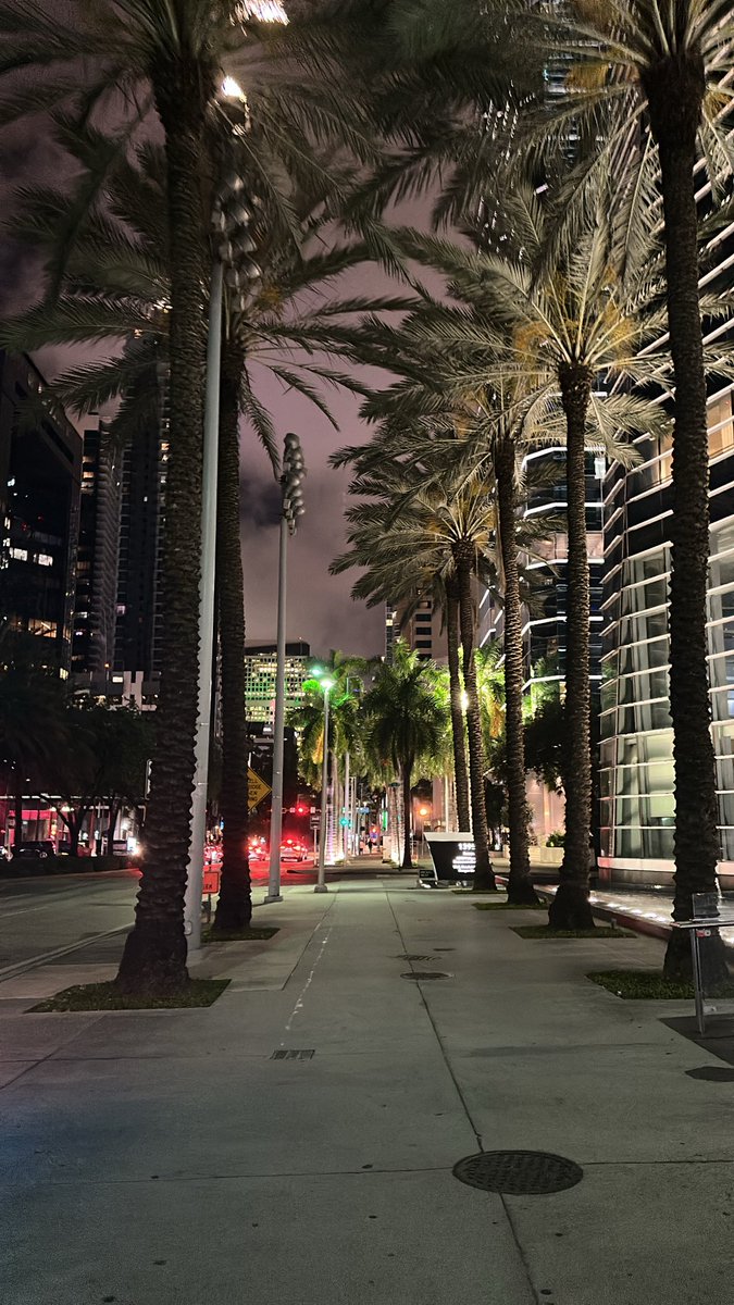 333absent333's tweet image. POM (proof of Miami)