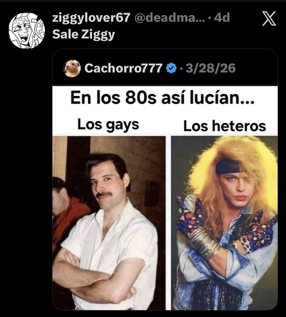 ziggylover67 tweet media