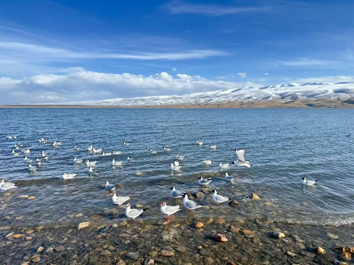 Joyce 🩷π🦅 tweet media