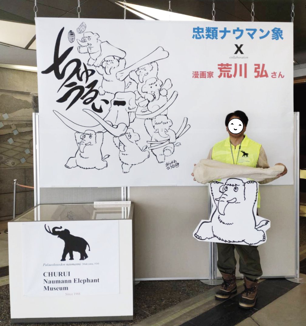 忠類ナウマン象記念館【公式】 tweet media