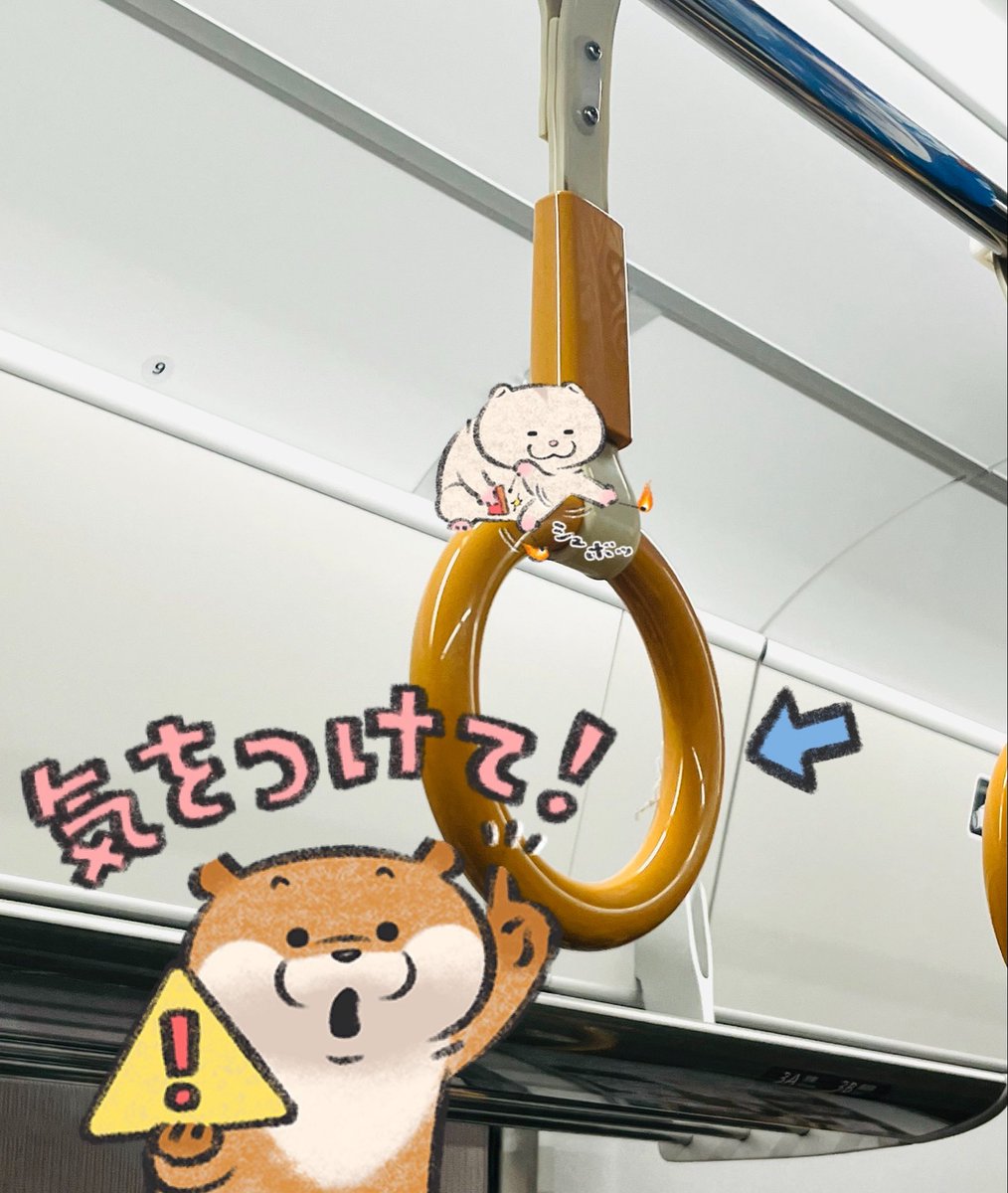 もちゃ丸 (@MochaMonu) / Posts / X
