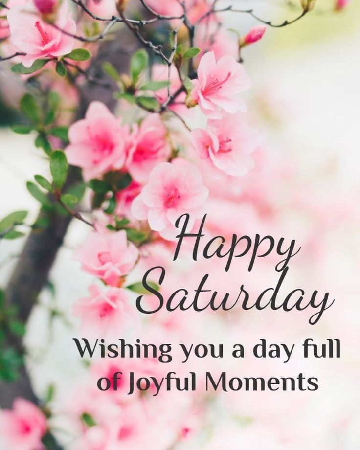 CaptureYourGlow's tweet image. Bloom into Saturday joy—smile brighter than coffee, sparkle louder than worries, and let your story blossom beautifully today. Happiness looks good on you, wear it! 🌸
#FOORM #Jewelry #Studio #WearYourStory #Charms #Bracelets #Necklaces #WeekendJoy #BloomAndShine #PositiveVibes