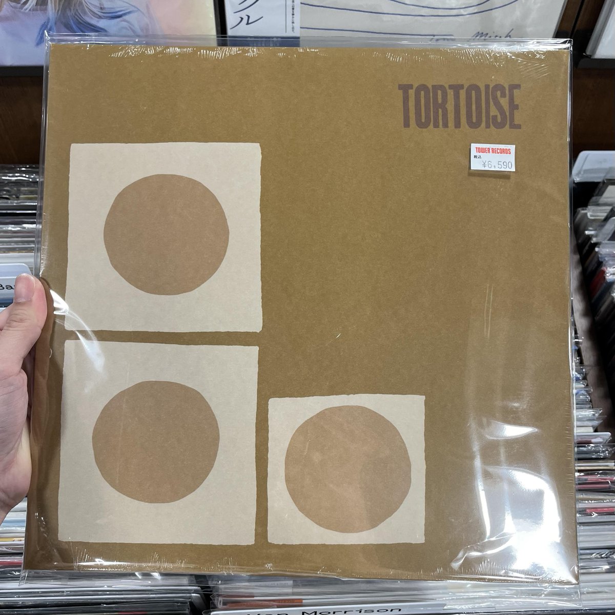 towervinylumeda's tweet image. 【#Tortoise】

6月よりJAPAN TOURが大阪公演を皮切りにスタート！94年の記念すべき1stアルバム『Tortoise』が入荷しました😳創設メンバーであるバンディ・K・ブラウンが参加した唯一の作品。

レジにてフライヤー配布中です💌
お気軽にスタッフに申し付けください！
tower.jp/item/7920953