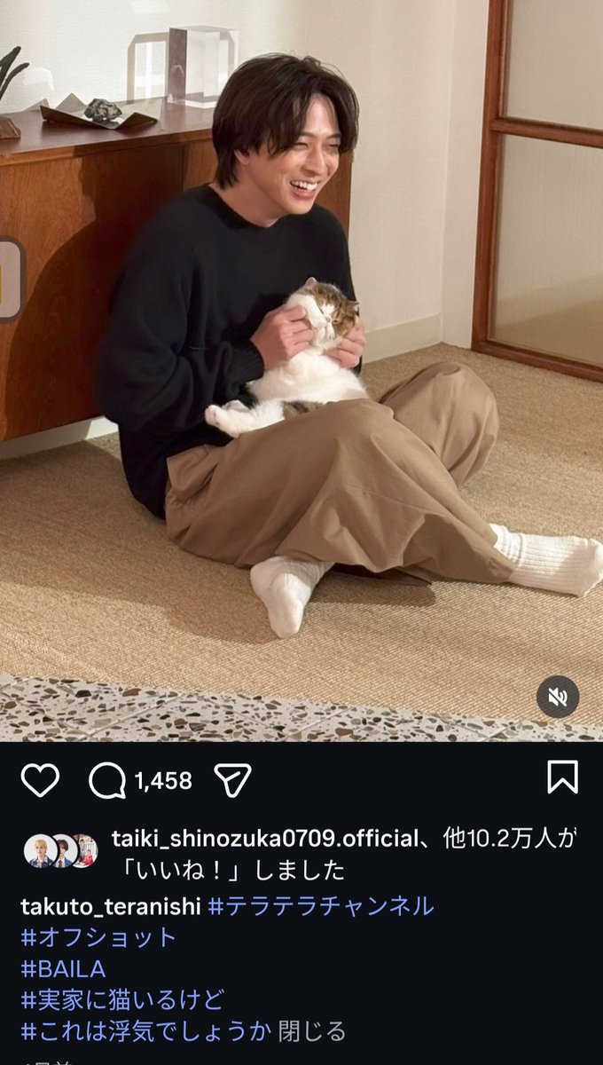 yuzmi_oheya's tweet image. テラが猫と幸せそうなのも猫の顔がくしゃくしゃ〜なのも最高だあ(笑)
#Timeless