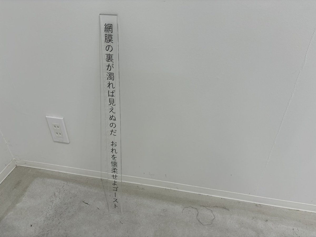 しろ tweet media